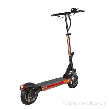 Scooter elettrico per anziani anziani per adulti staccabili Dropshipping UE 1200W